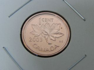 2003p Ms Unc Magnetic Red Canadian Canada Maple Leaf Penny One 1 Cent Effigy photo