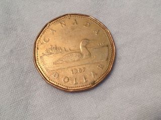 1987 Coin Canada Canadian Loon Loonie Queen Elizabeth Ii One 1 Dollar Money photo