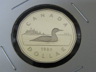 1989 Proof Canadian Canada Loon Loonie One $1 Dollar photo