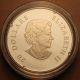 Canada 2011 $20 Silver Proof; Topaz Crystal Snowflake; Swarovski Elements Coins: Canada photo 1