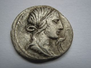 Roman Republic Denarius Of Family Caecilia,  81 - B.  C. photo