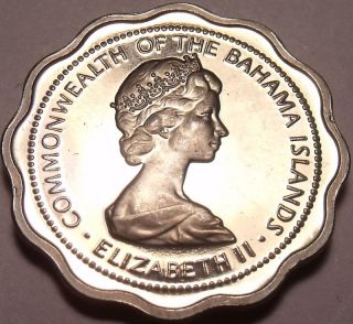 Proof Bahamas 1970 10 Cents Scalloped Coin Fish Fr/shi photo