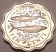 Proof Bahamas 1970 10 Cents Scalloped Coin Fish Fr/shi North & Central America photo 1