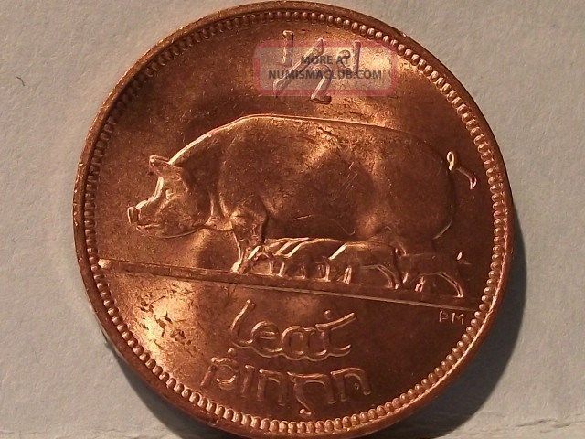 Ireland Coin 1942 Half Penny Full Red Uncirculated
