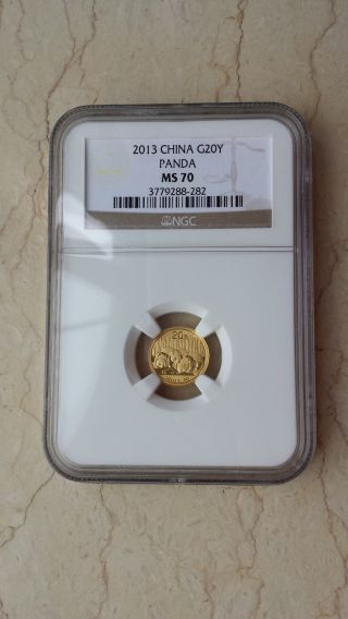 Ngc Ms70 China 2013 1/20 Oz Gold Panda Coin photo