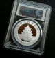 2009 China Silver Panda Coin S10y Inauguration Of Chinext Pcgs Ms70 Coins: World photo 2
