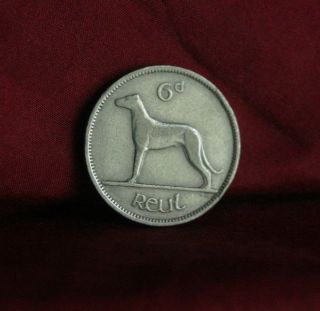 6 Pence Ireland 1950 Nickel World Coin Irish Harp Wolfhound Km13a Eire Six D photo