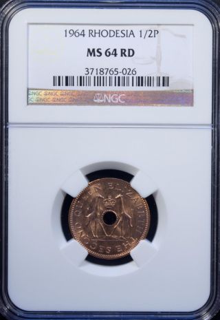 1964 Rhodesia 1/2 Penny Ngc Ms 64 Rd Unc Bronze photo