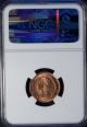 1956 South Africa 1/4 Penny Ngc Ms 65 Rd Unc Bronze Africa photo 2