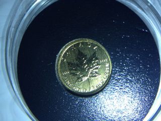 2012 Canada 1/10 Oz Maple Gold Coin $5 Dollars 0.  10 Ozt.  9999 Fine Au Bullion photo