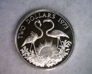 Bahamas 2 Dollars 1973 Proof Silver (lux 569) photo