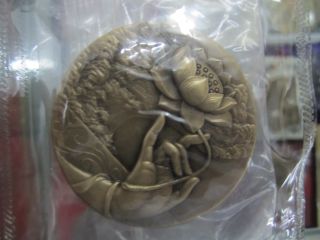 China 2013 45mm Brass Medal - Putuo photo
