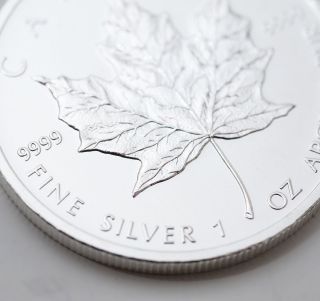 2013 Untouched 1 Oz Silver Canadian Maple Leaf Pure.  9999 Silver photo