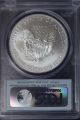 2012 - S Silver Eagle Pcgs Ms70 First Strike Silver photo 1