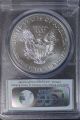 2014 Silver Eagle Pcgs Ms70 First Strike (a) Silver photo 1