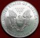 Uncirculated 2009 American Eagle Silver Dollar Silver photo 1