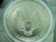 1997 1 Oz American Silver Eagle $1 Bullion Coin Uncirculated Silver photo 8