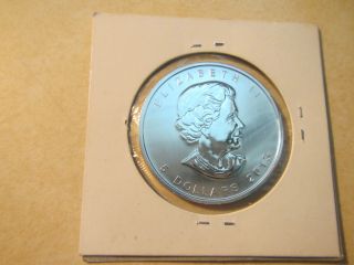 2013 Canadian Wood Bison 1 - Oz Silver Coin - Gem Bu - Coin photo