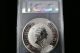 1992 10 Oz Silver Australian Kookaburra Coin - Pcgs Ms65 