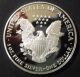 1996 - P United States Proof Silver Eagle Silver photo 1