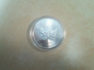 2014 1 Oz Canadian Silver Maple Leaf Coin 1 Troy Ounce Of 9999 Fine Silver photo