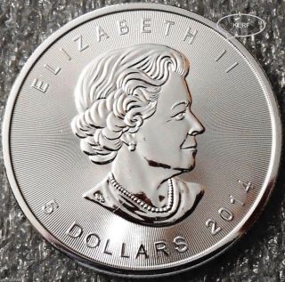 2014 Canadian Maple Leaf Silver Coin {bu} 1 Oz.  9999 Fine Silver Bullion photo