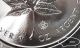 2014 Canadian Maple Leaf Silver Coin {bu} 1 Oz.  9999 Fine Silver Bullion Silver photo 2