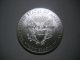 2013 1 Oz Silver American Eagle Coin - Brilliant Uncirculated Silver photo 1