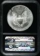 1998 S$1 Ngc Ms69 Silver American Eagle - 25th Anniversary Slab Silver photo 1