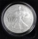 Silver Eagle 1oz.  999 Fine Silver Coin 2007 W Uncirculated With Silver photo 1