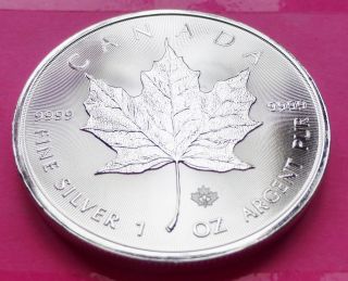 2014 Canada Maple Leaf $5 Five Dollar Silver 1oz Coin photo
