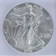 2002 American Silver Eagle Icg Ms69 S$1 Silver Silver photo 1