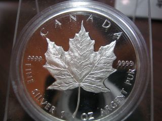 Canada - Maple Proof - 1989 - 10th Year Commemorative - Only Maple Leaf Proof photo
