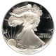 1990 - S Silver Eagle $1 Pcgs Proof 70 Dcam American Eagle Silver Dollar Ase Silver photo 2