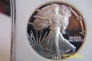 1987 - S (proof) Silver American Eagle Pr - 69 Ngc Pf69 photo
