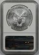 2014 Silver Eagle $1 Ms 70 Ngc Brown Label Silver photo 1