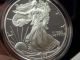 1997 - P American Silver Eagle - - Proof Coin - With - Real Coin - - - M2 Silver photo 4