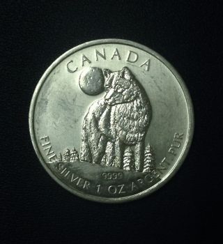 2011 Canada Timber Wolf Wildlife Series 5 Dollars 9999 Fine Silver 1 Oz Coin photo