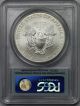 2008 - W Burnished First Strike Silver Eagle Dollar $1 Ms 69 Pcgs 1 Oz Silver Silver photo 1