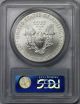 2008 - W Burnished Silver Eagle Dollar $1 Ms 69 Pcgs 1 Oz Silver Silver photo 1
