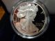 1996 - P American Silver Eagle - - Proof Coin - With - Real Coin - - - M5 Silver photo 2
