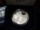 2008 - W American Eagle One Ounce Silver Proof Coin - Cameo - No Frills Posting - - - K6 Silver photo 2