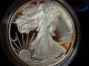 2008 - W American Eagle One Ounce Silver Proof Coin - Cameo - No Frills Posting - - - K6 Silver photo 3