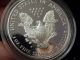 1999 - P American Eagle One Ounce Silver Proof Coin - Cameo - No Frills Posting - - - K12 Silver photo 4