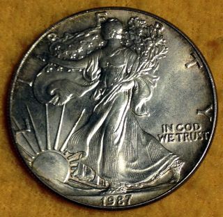 1987 American Eagle Silver Dollar Walking Liberty 1 Troy Oz Silver Uncirculated photo