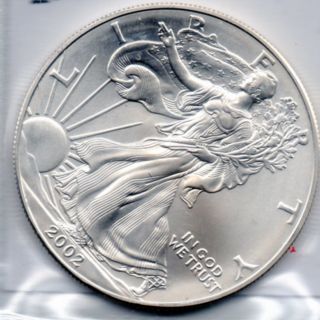 1 Bu 2002 American Silver Eagle.  999 Fine Silver Inside The Usa photo