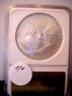 Look 2008 American Eagle Silver Dollar. .  Early Release. . .  Gem Uncirculated. .  Ngc Silver photo 1