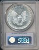 1994 American Silver Eagle - First Strike - Pcgs Certified Ms 69 Silver photo 1