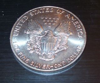 1992 Well Toned Gem Bu American Eagle.  Toned Around The Rims photo