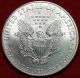 Uncirculated 2010 American Eagle Silver Dollar Silver photo 1